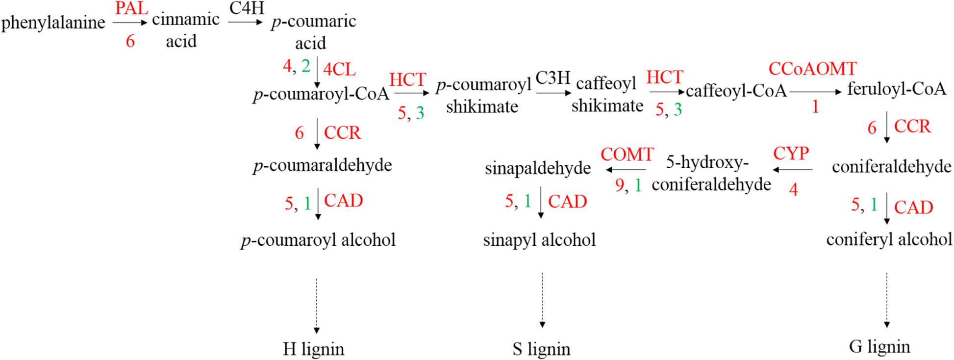 Fig. 6