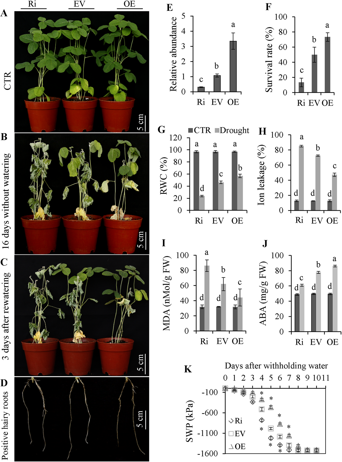 Fig. 8