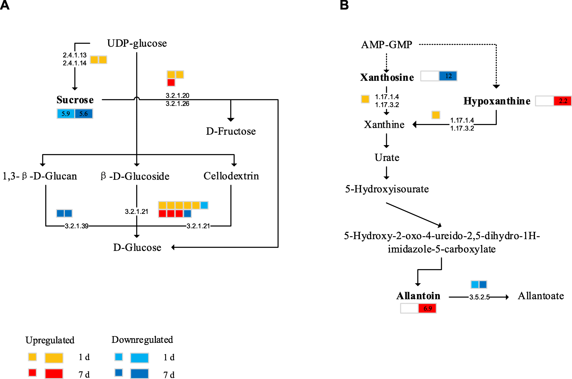 Fig. 10