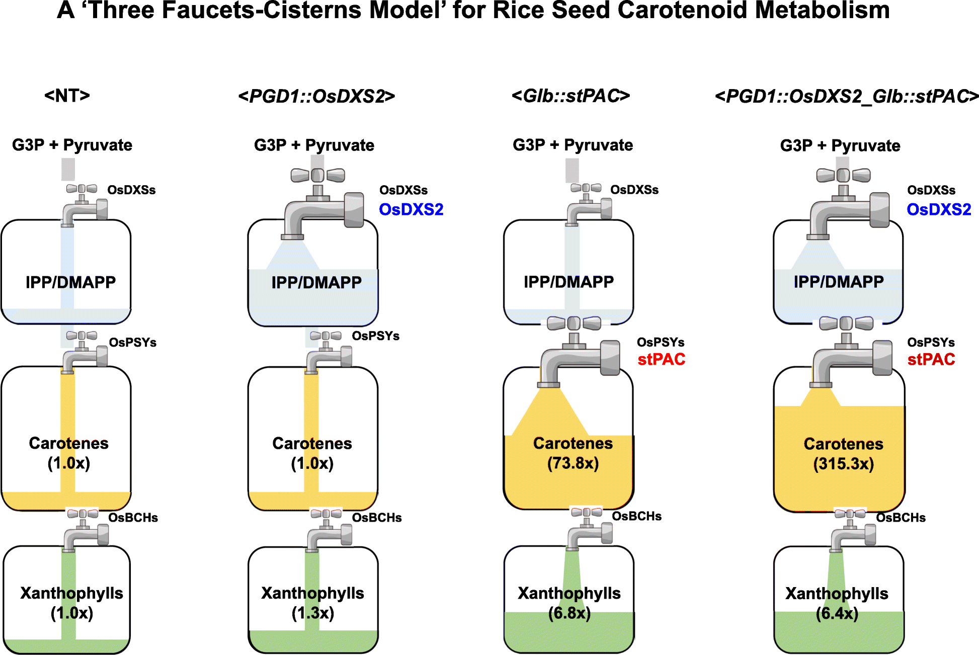 Fig. 8