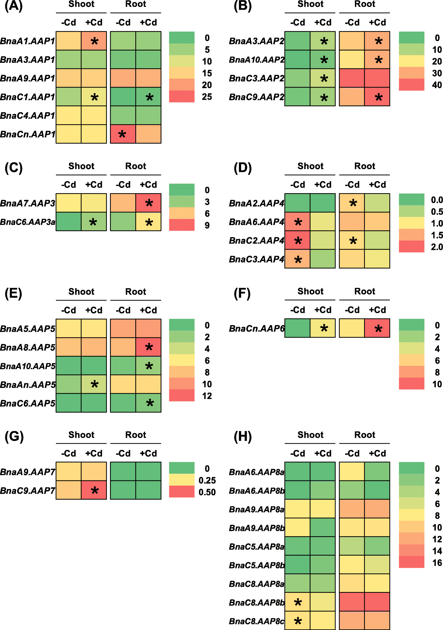 Fig. 11