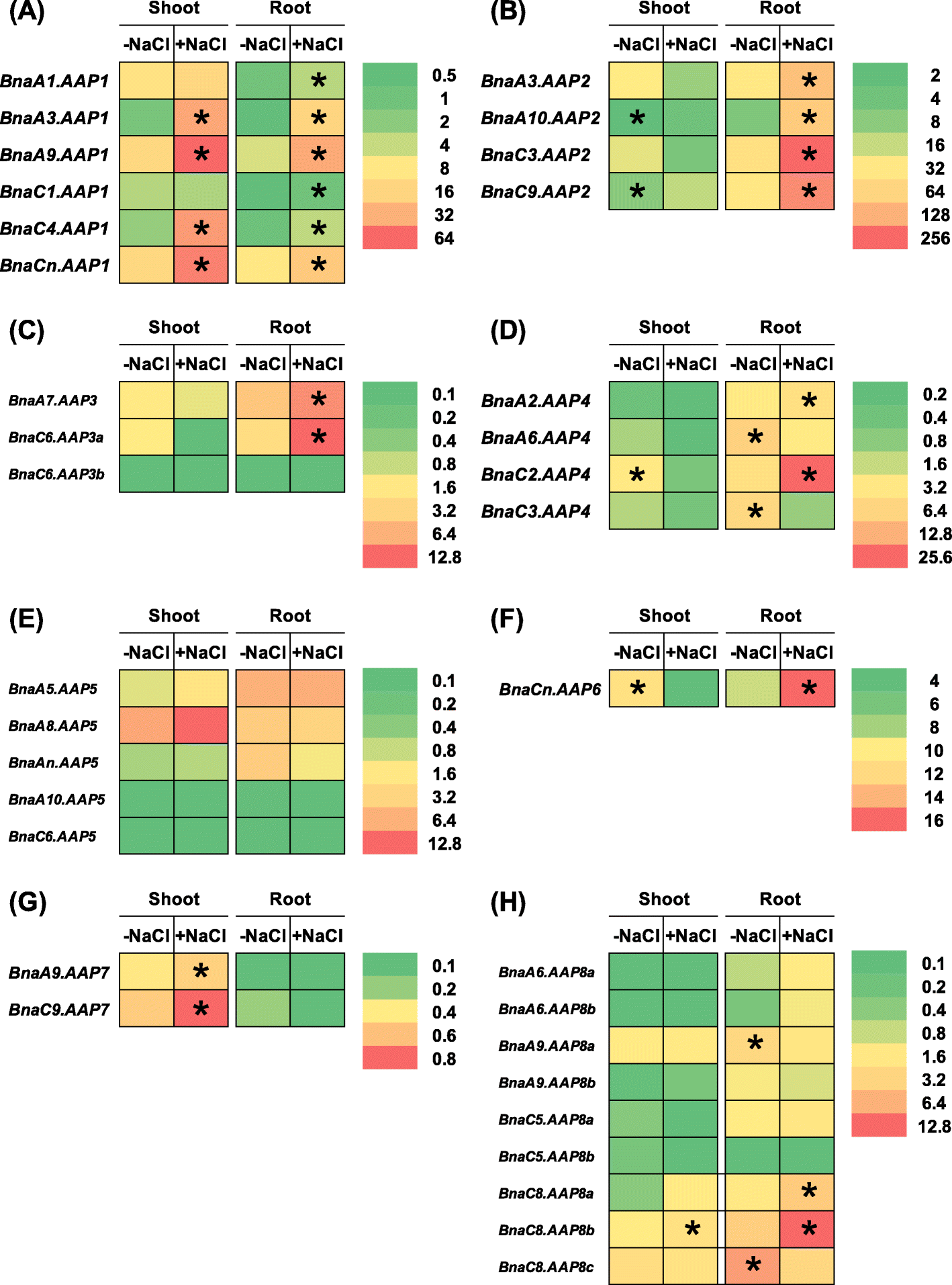 Fig. 12