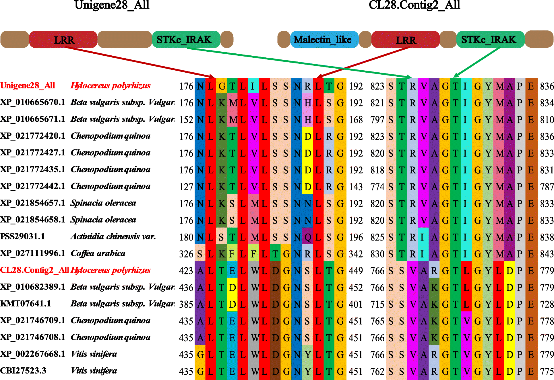 Fig. 11