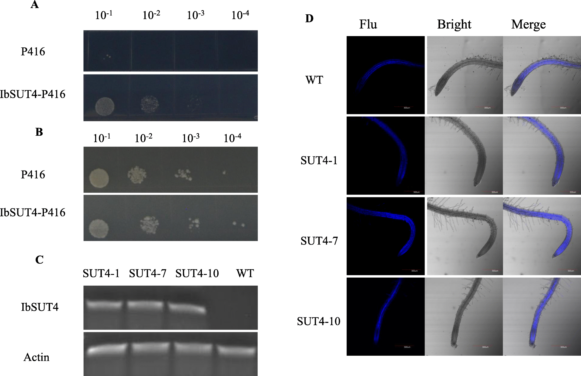 Fig. 3