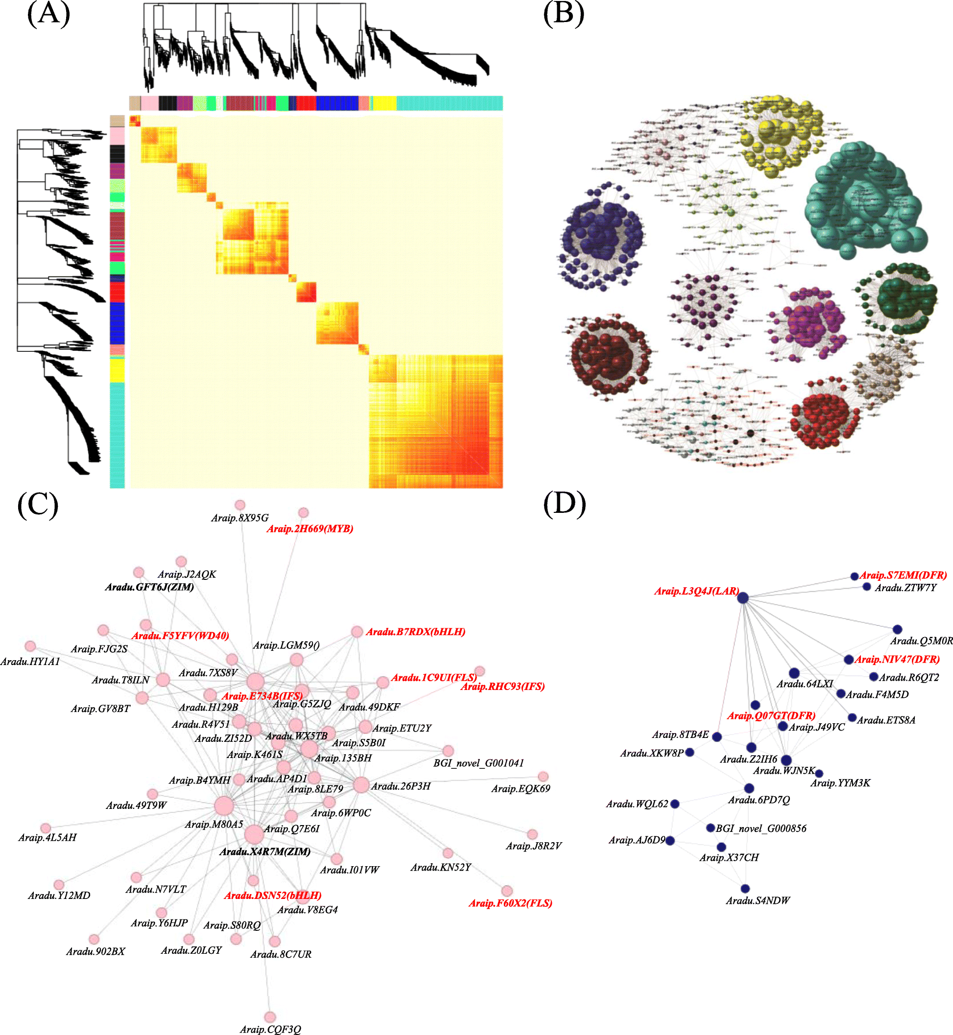 Fig. 6