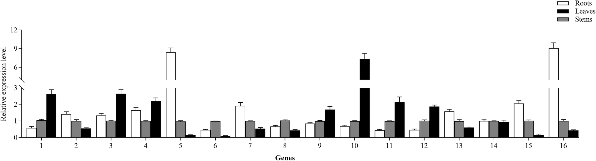 Fig. 6