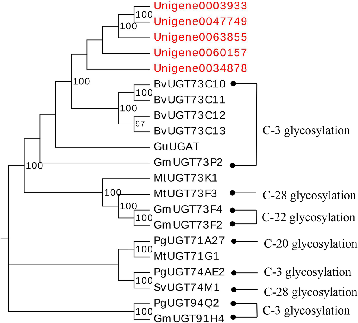 Fig. 9