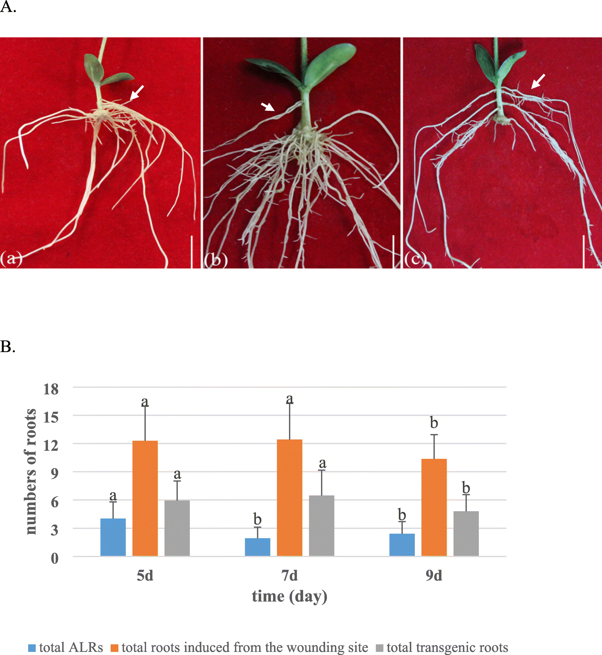 Fig. 2