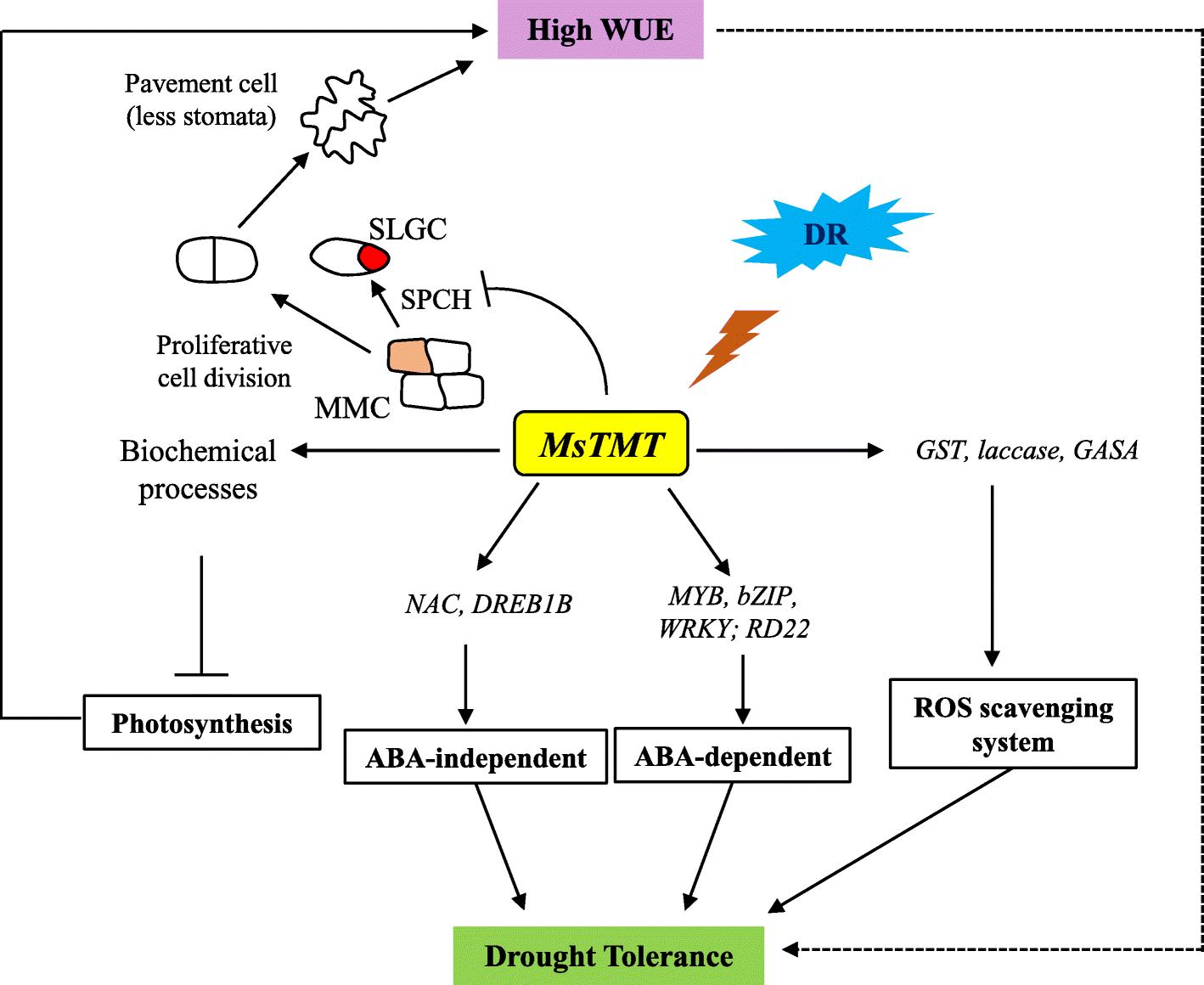 Fig. 9