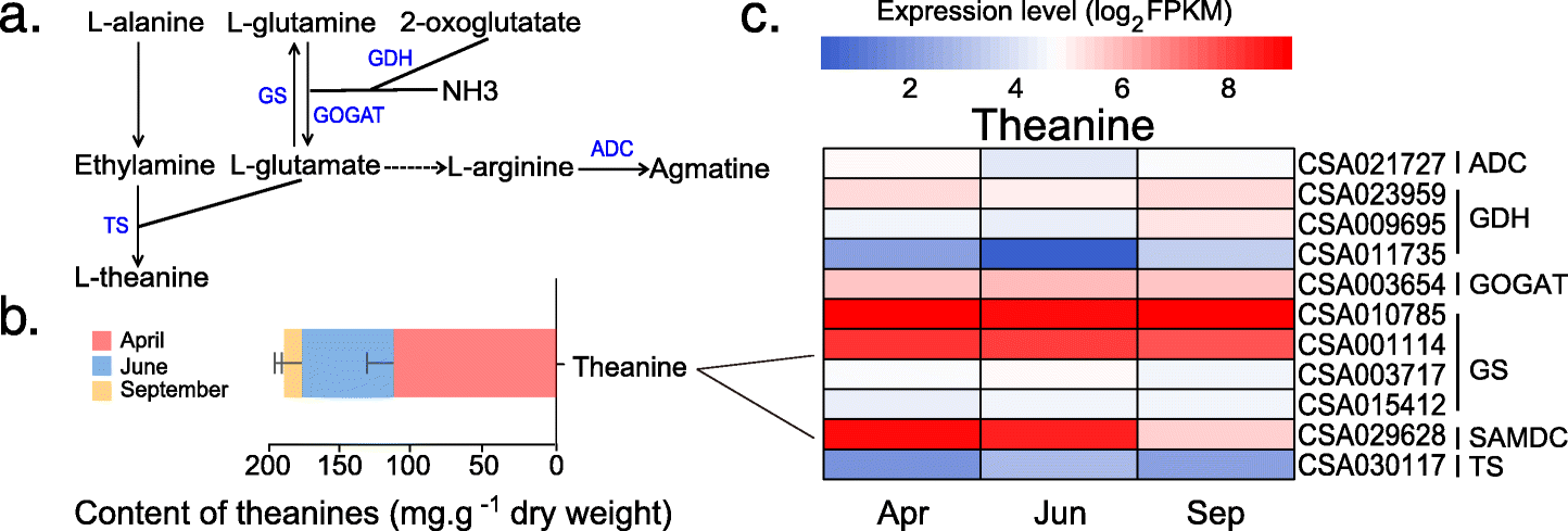 Fig. 6