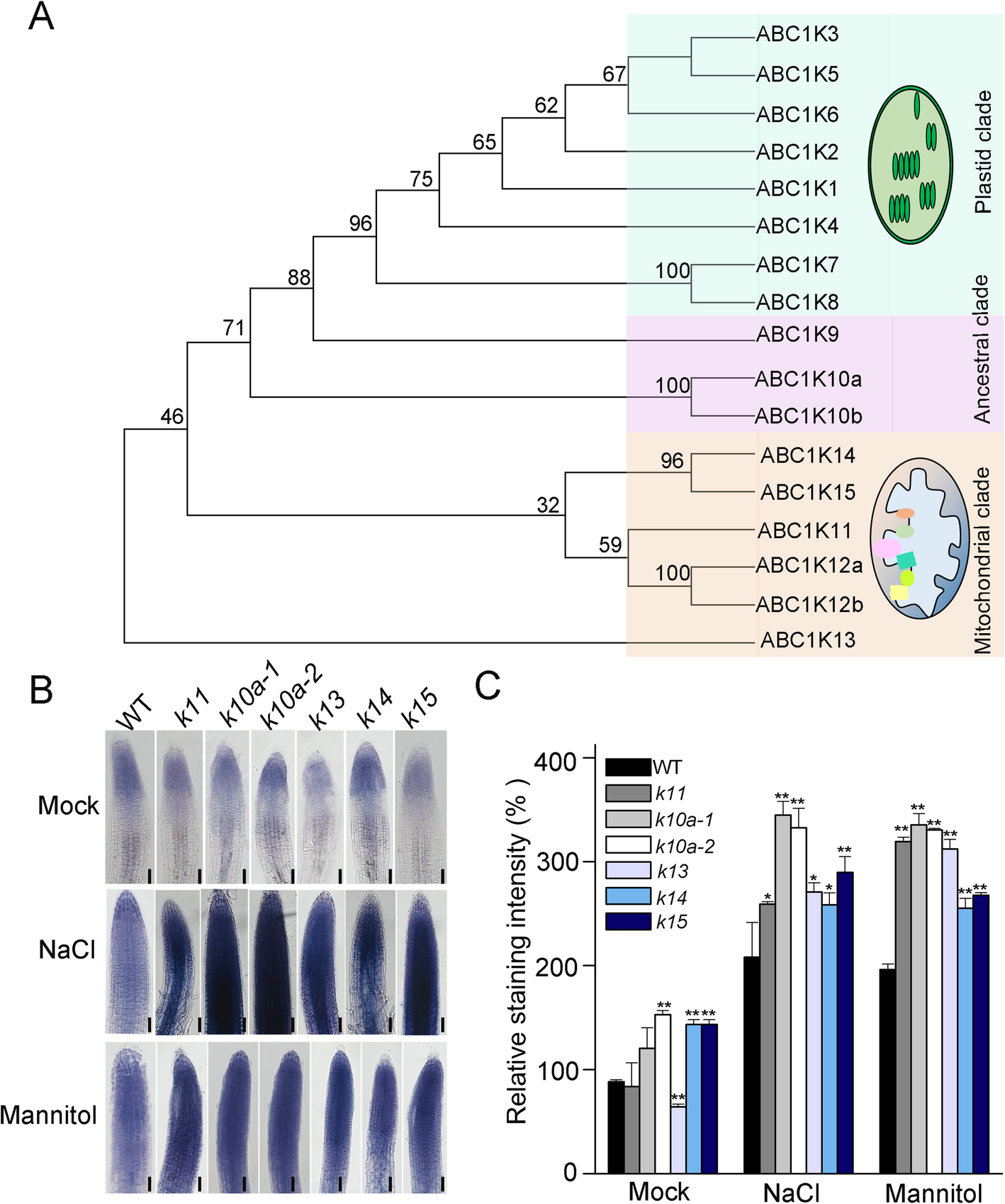 Fig. 1