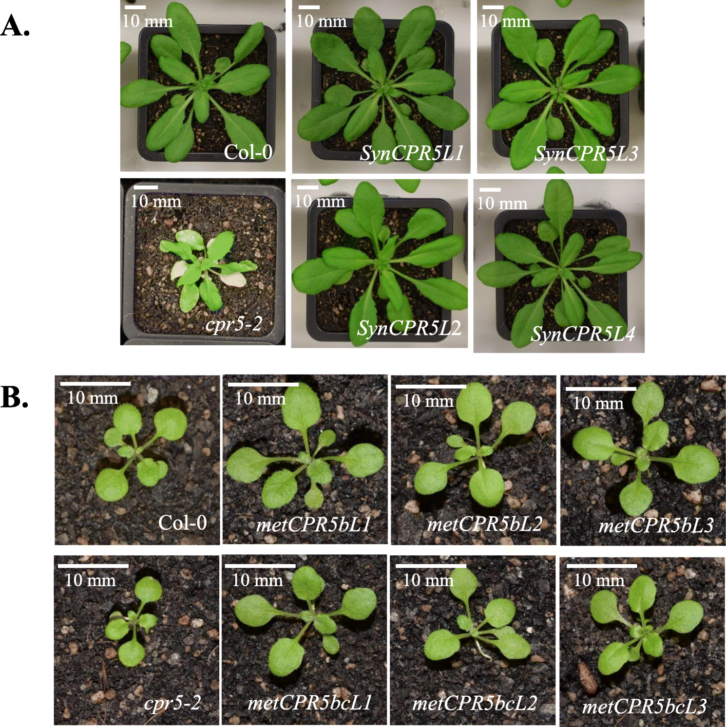 Fig. 3