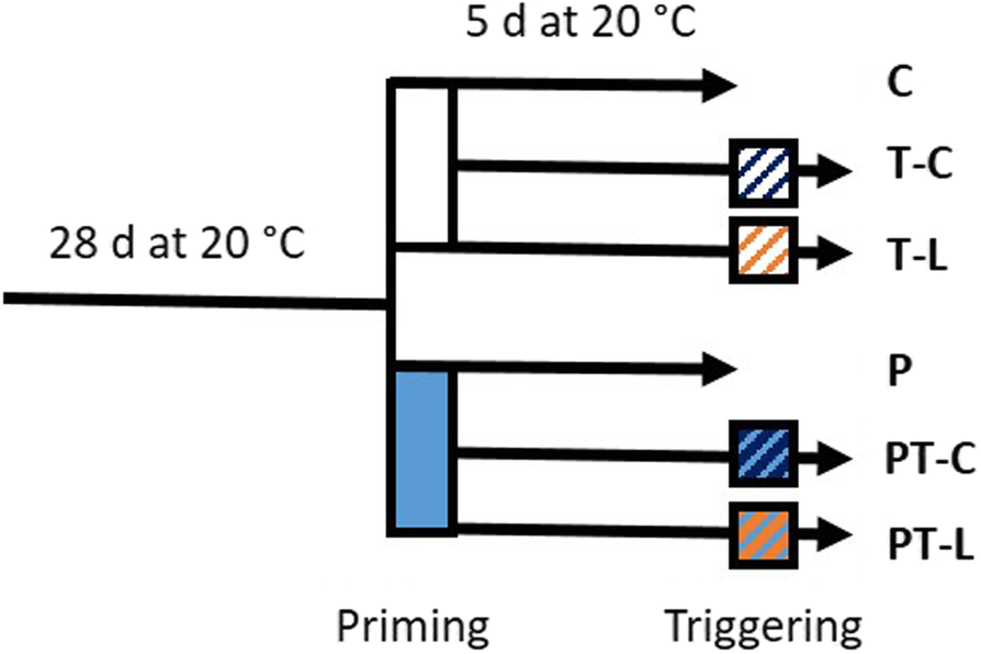 Fig. 10