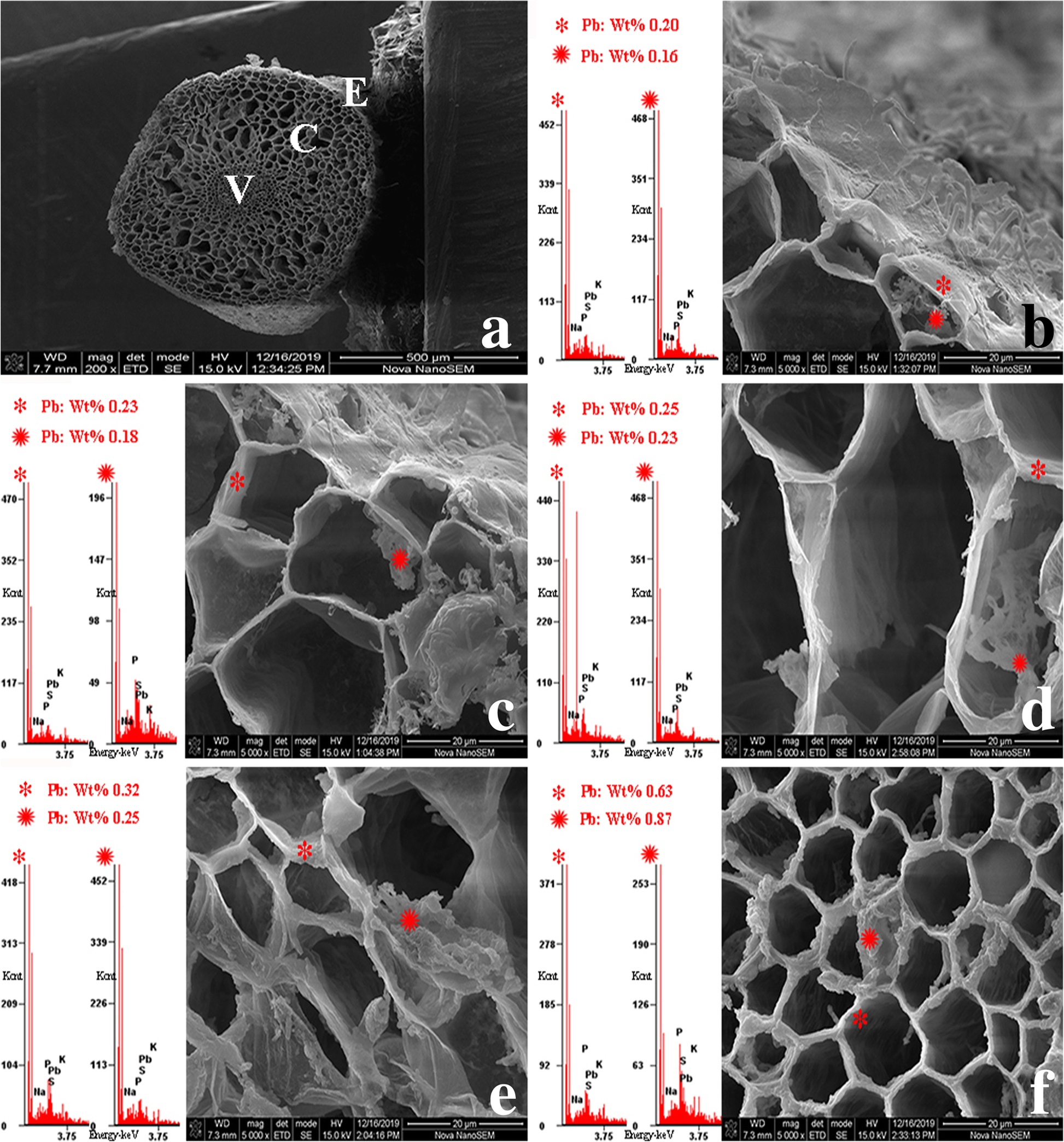 Fig. 11