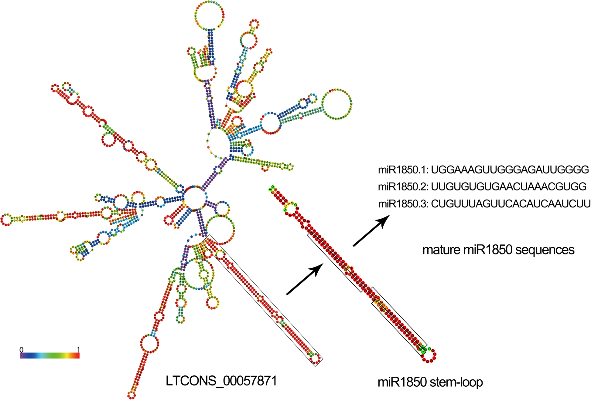 Fig. 6