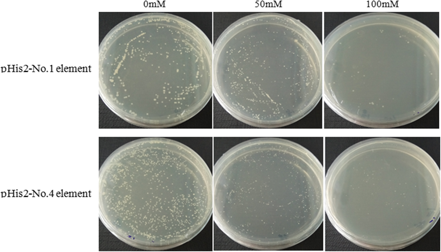 Fig. 14