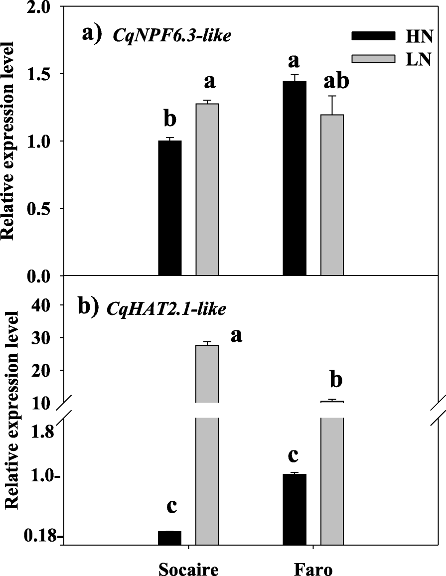 Fig. 7