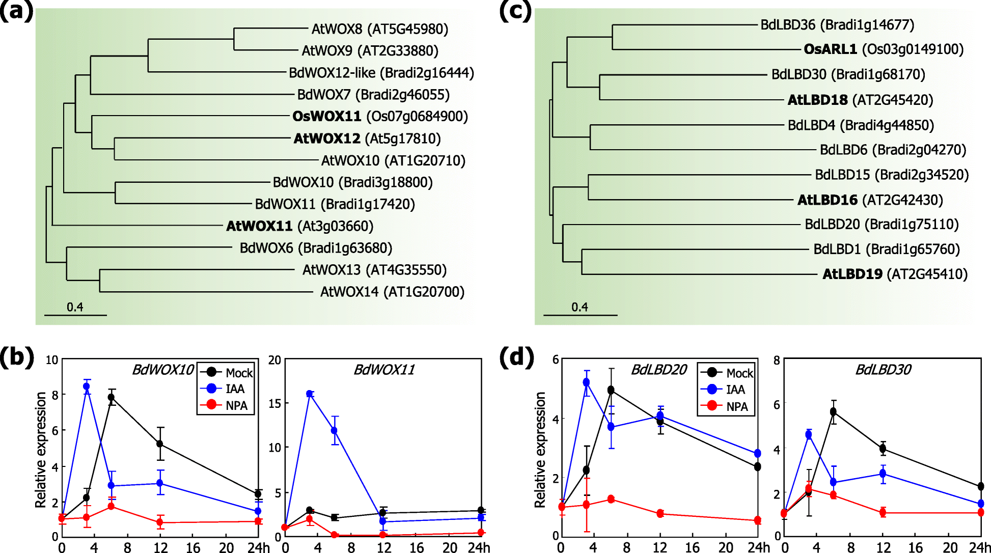 Fig. 6