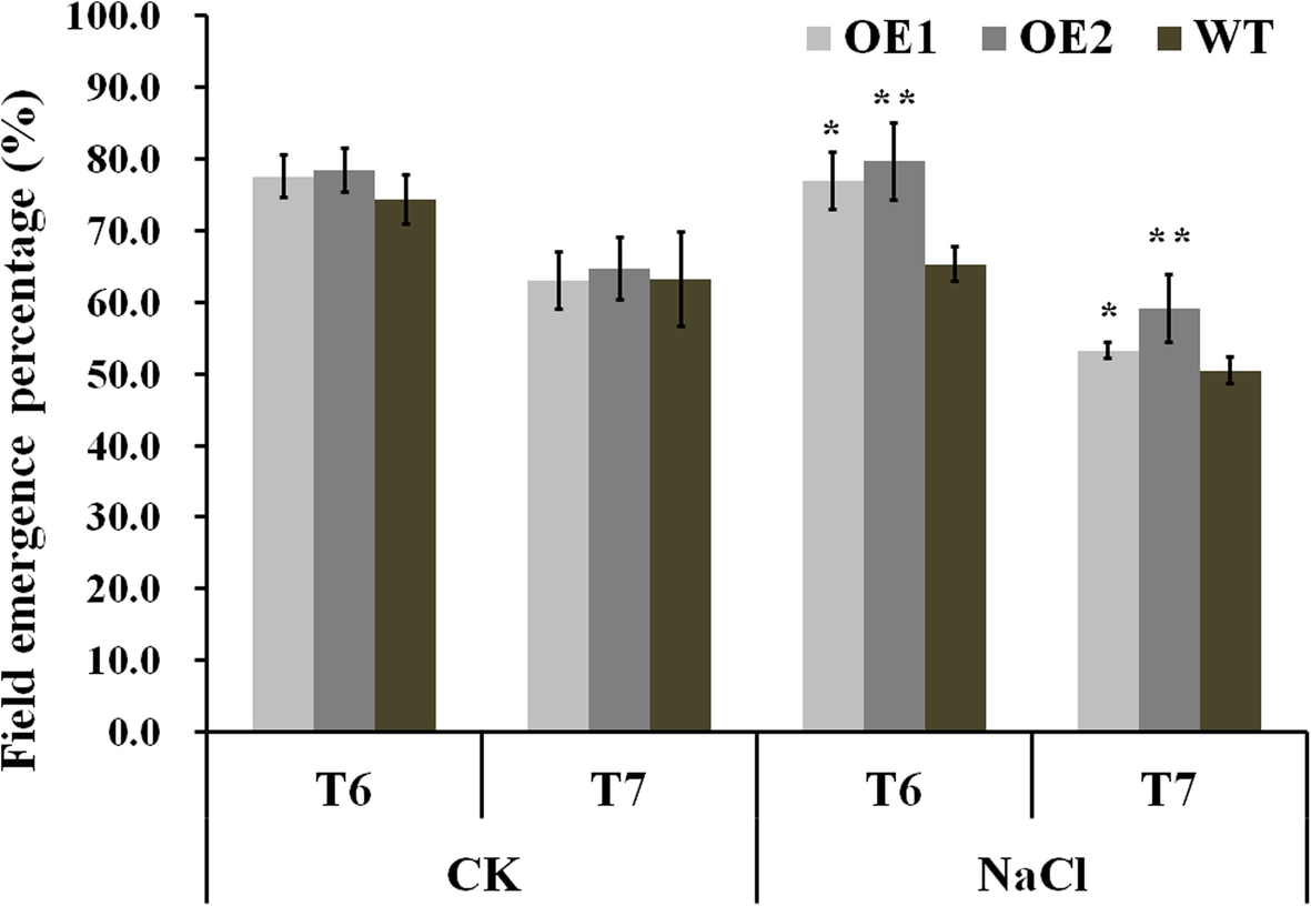 Fig. 9