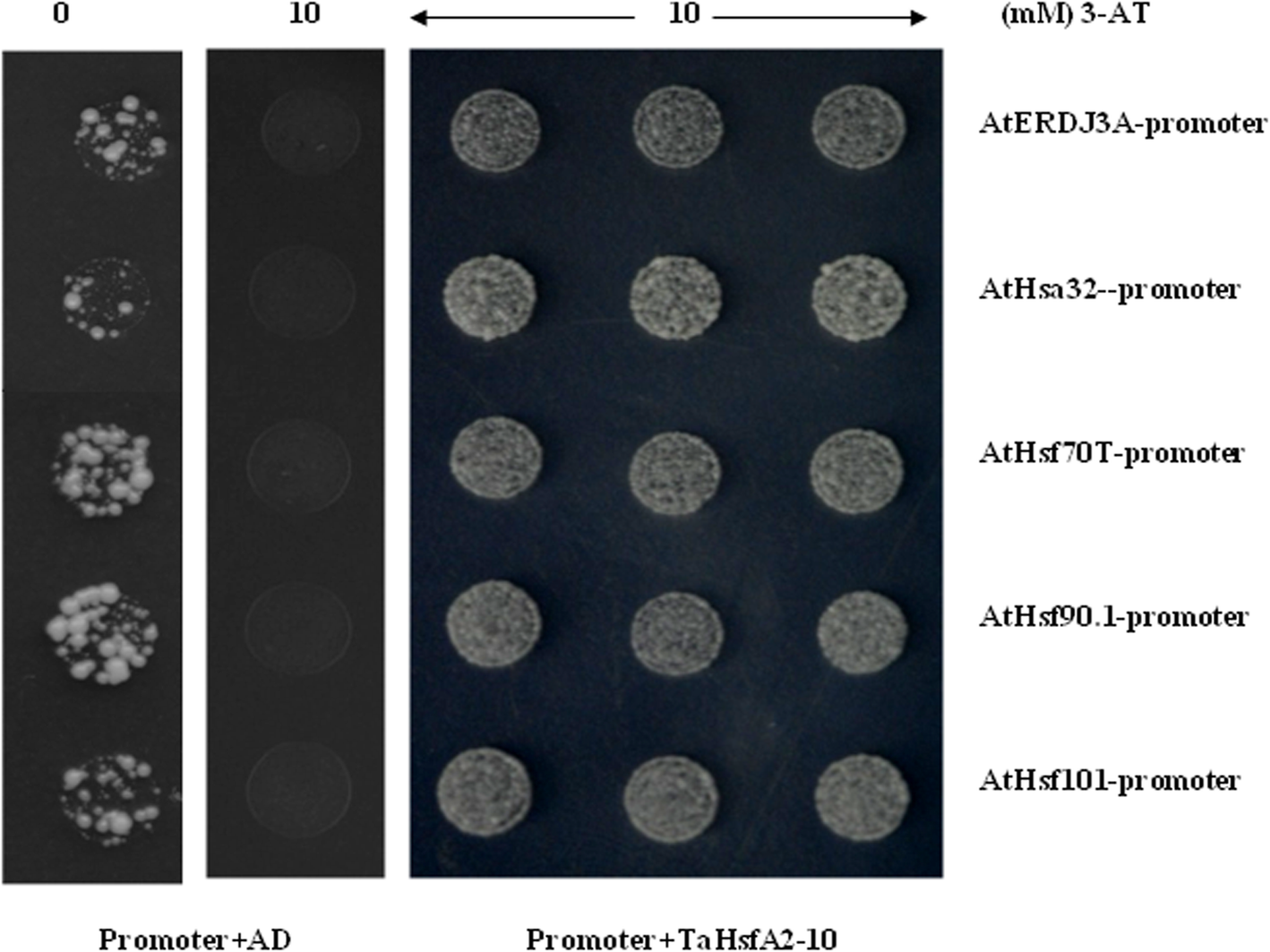 Fig. 9