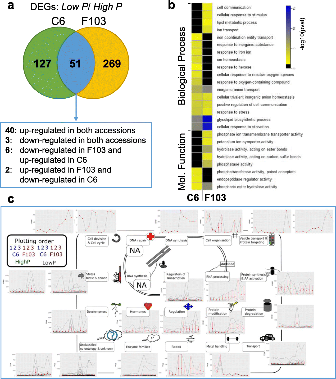 Fig. 6