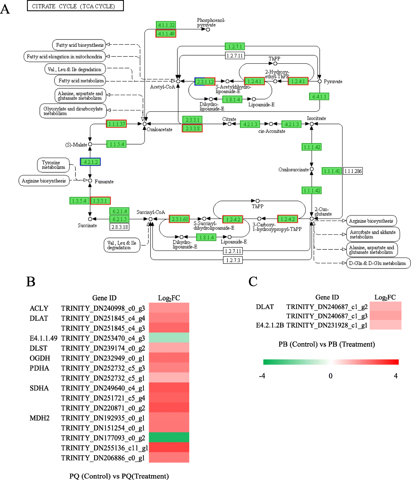 Fig. 6