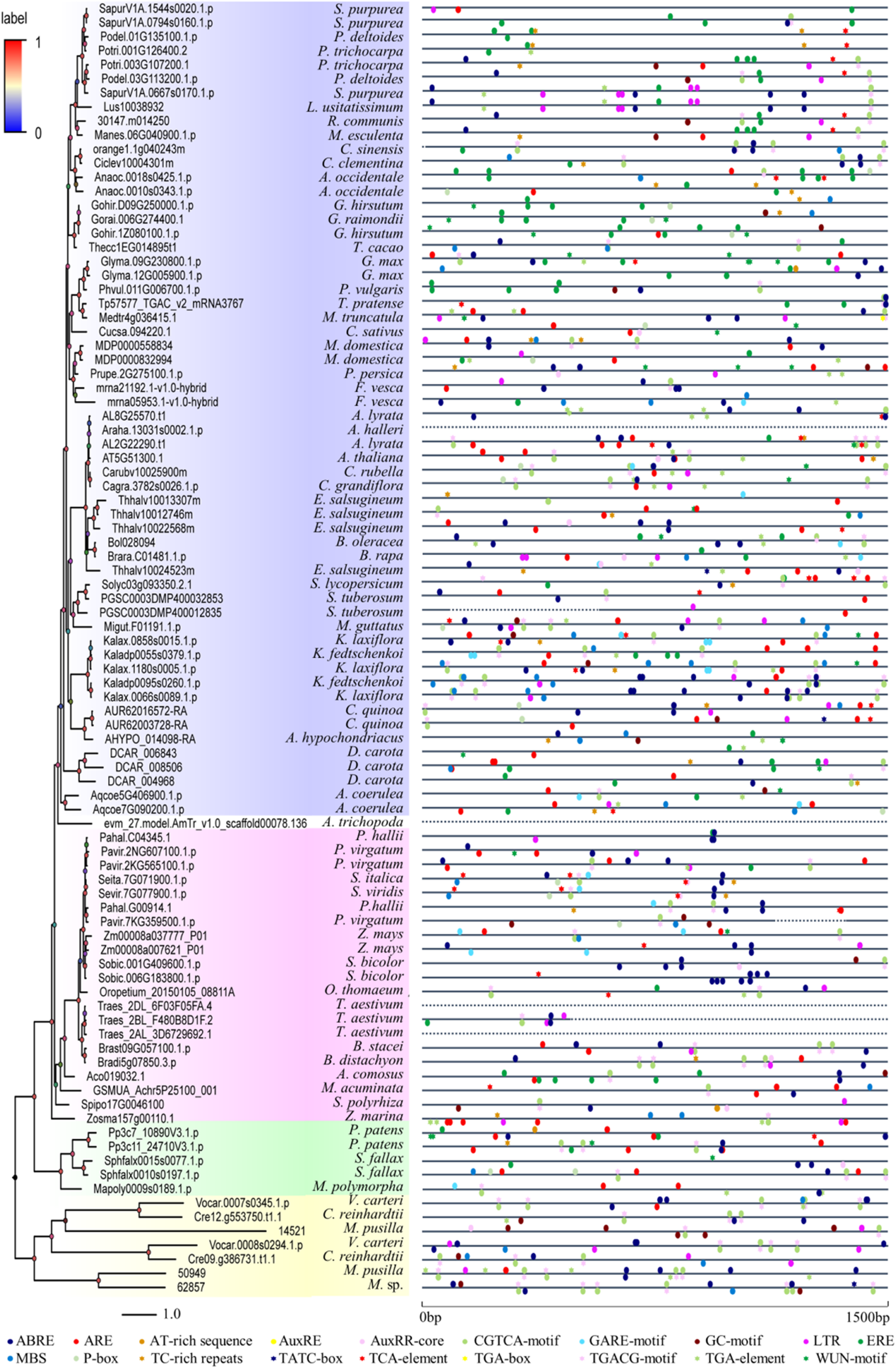 Fig. 7