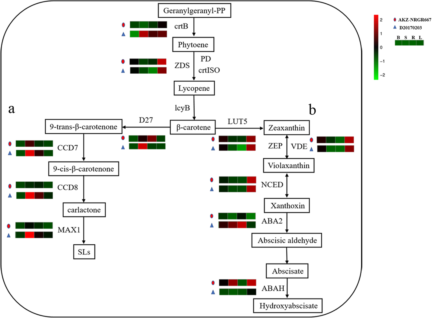 Fig. 3