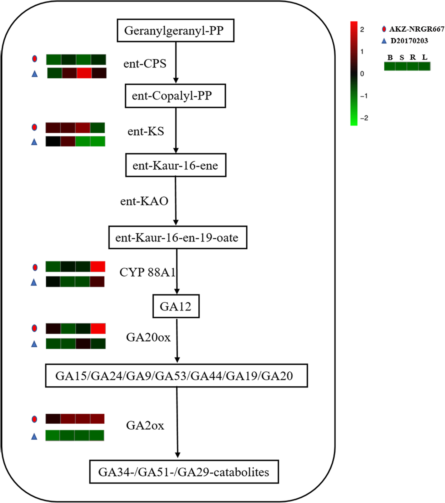 Fig. 4