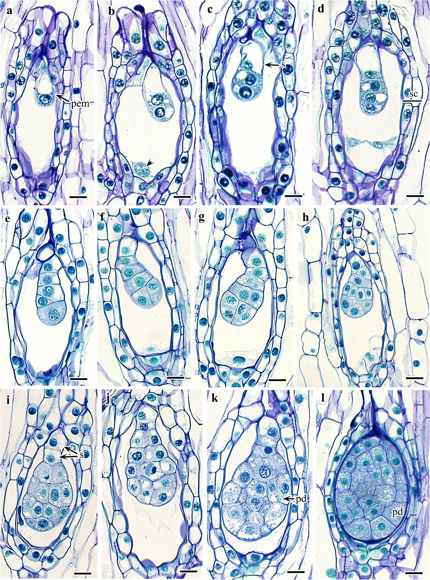 图4.GydF4y2Ba