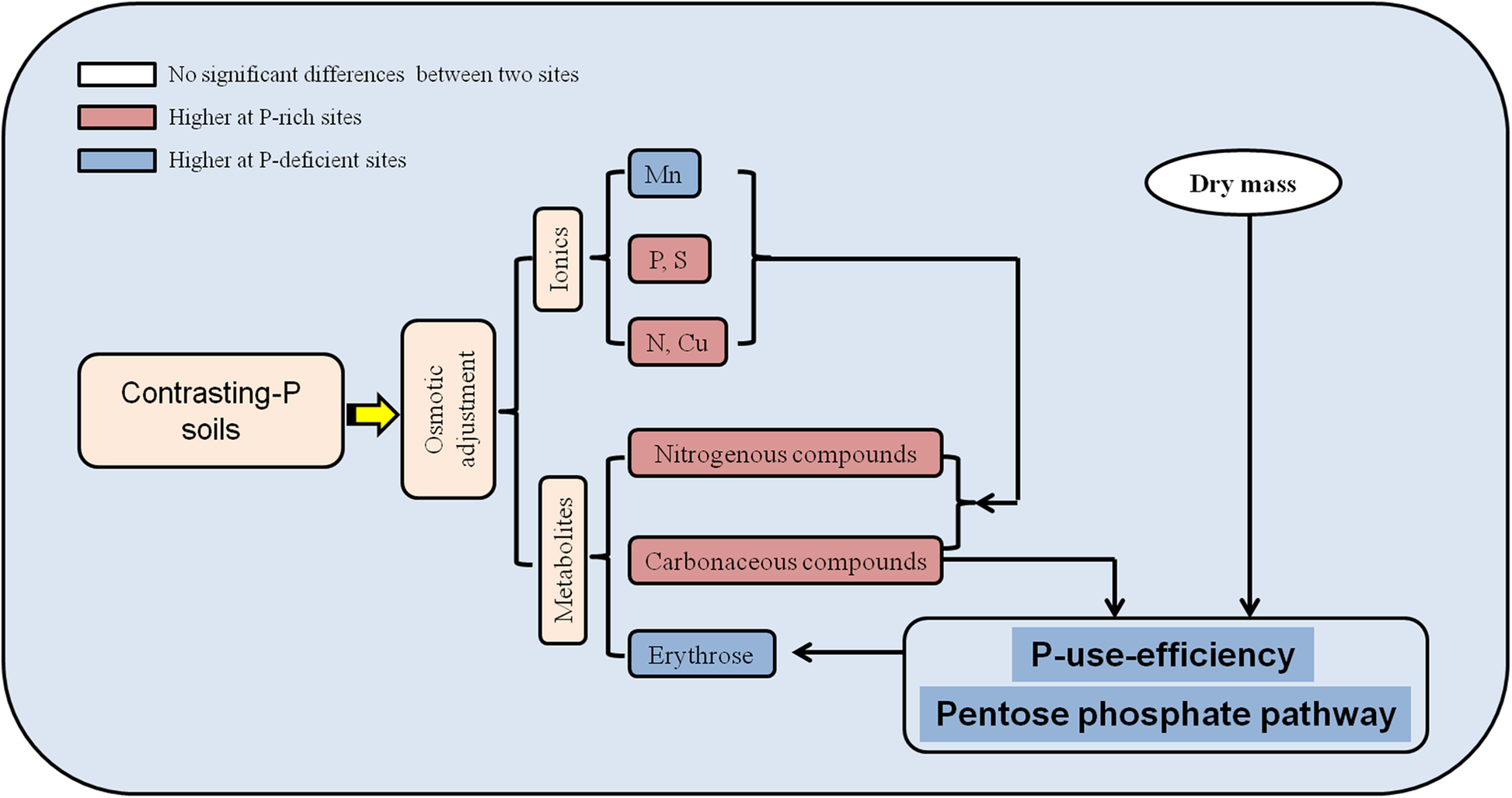 Fig. 6