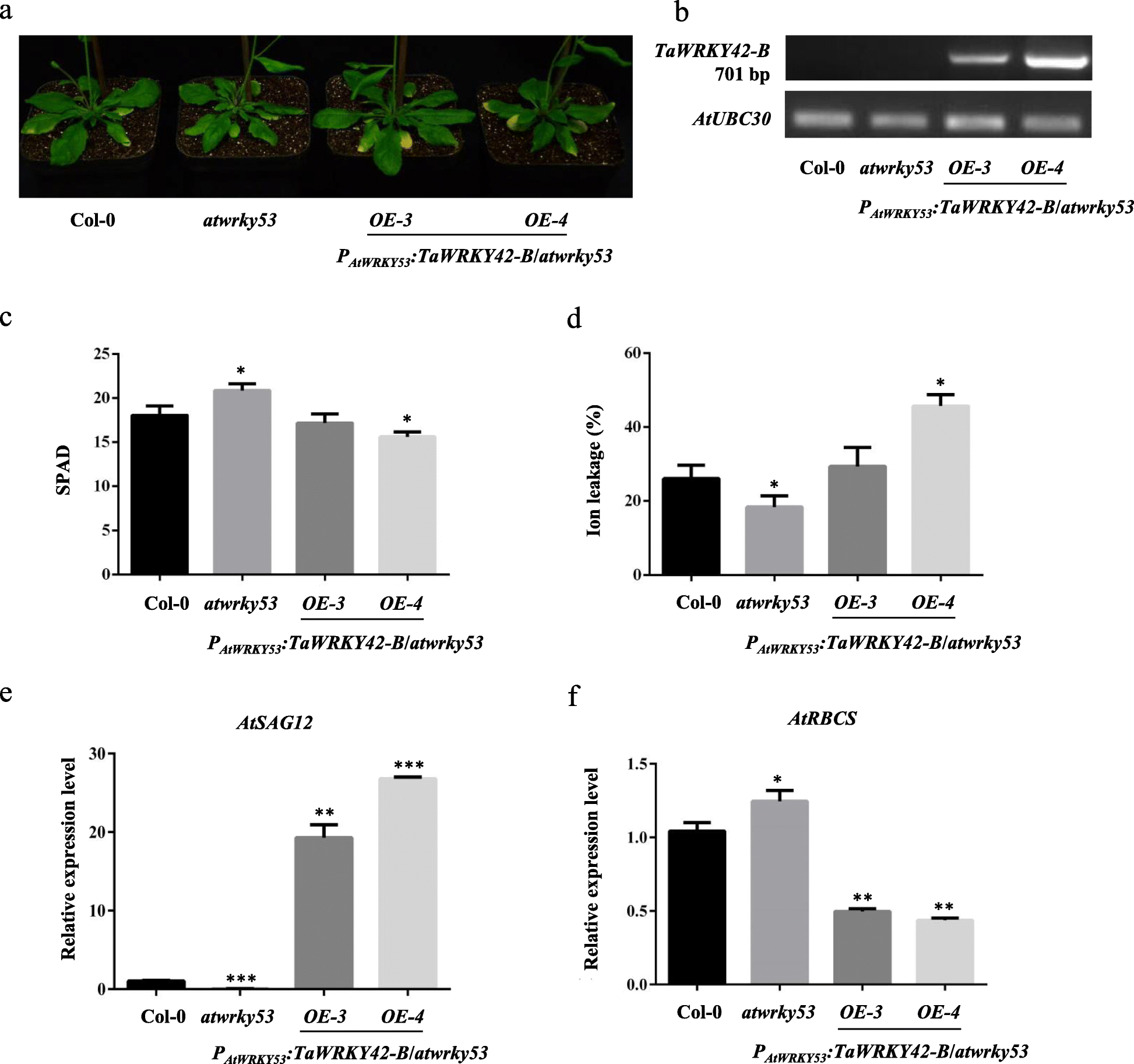 Fig. 10