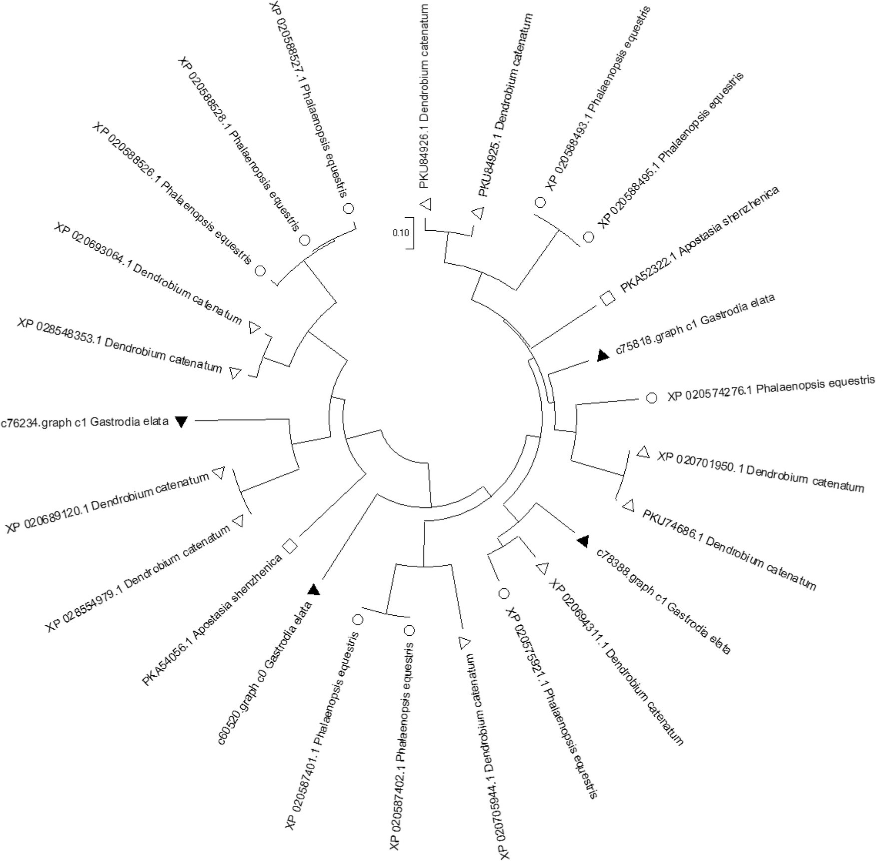 Fig. 10