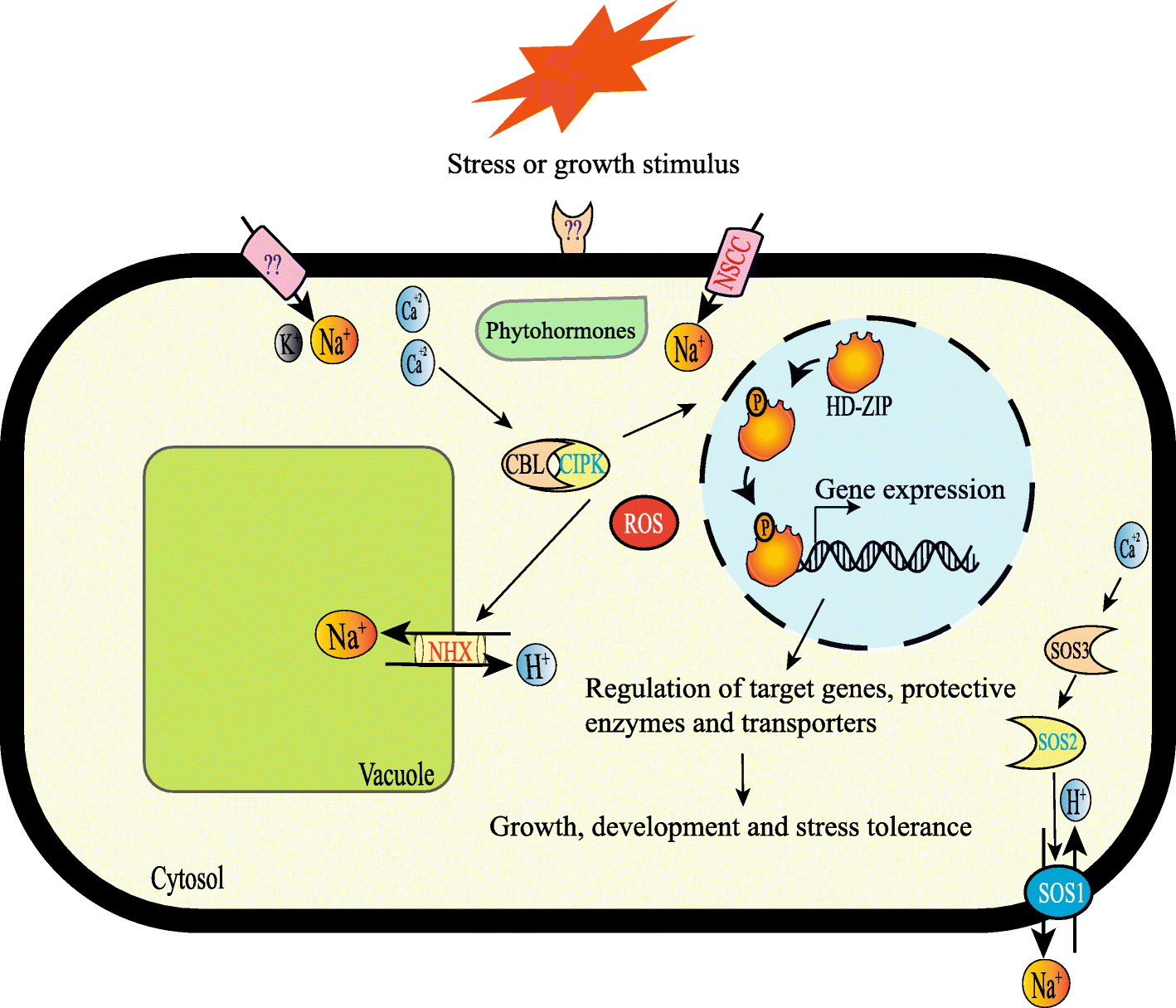 Fig. 9