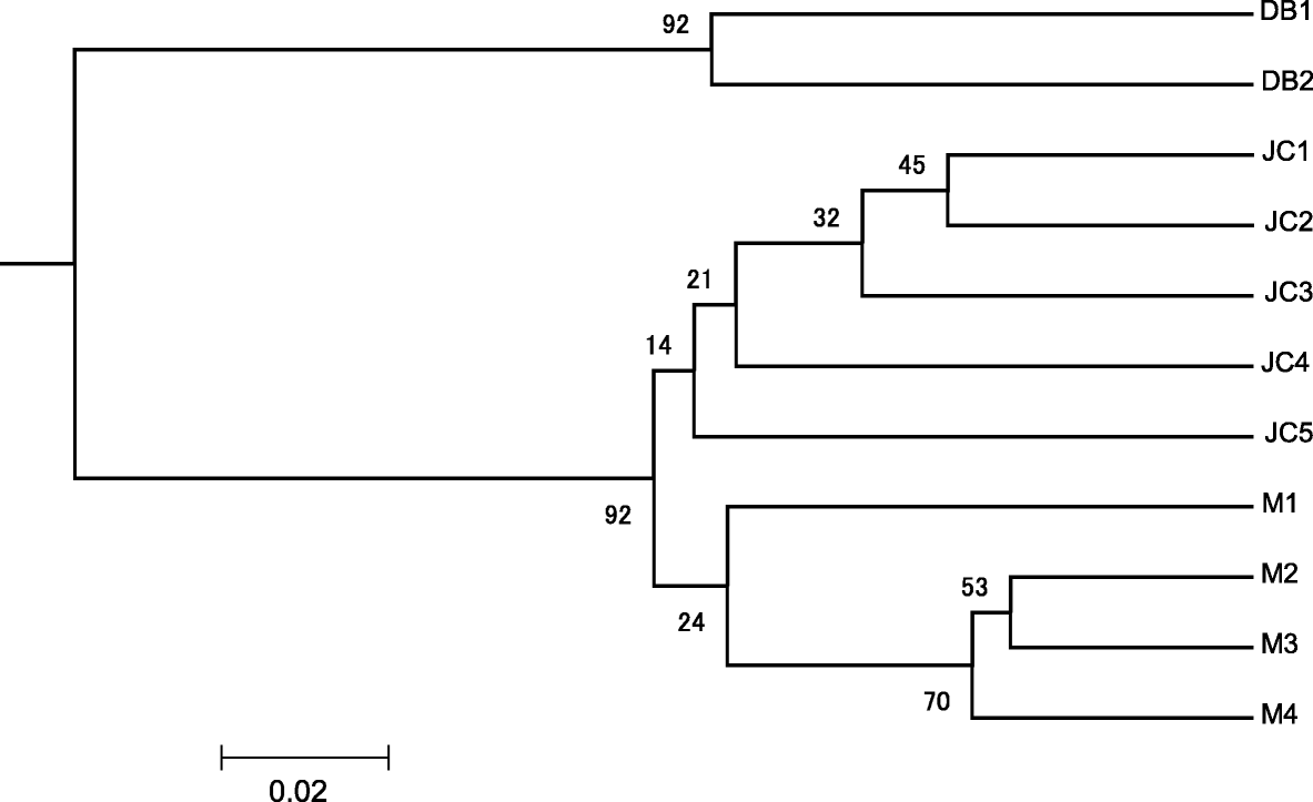 Fig. 5