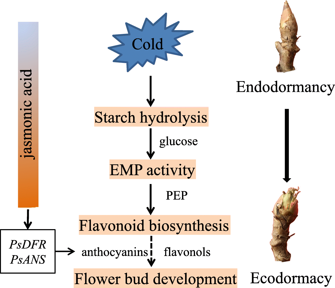 Fig. 8