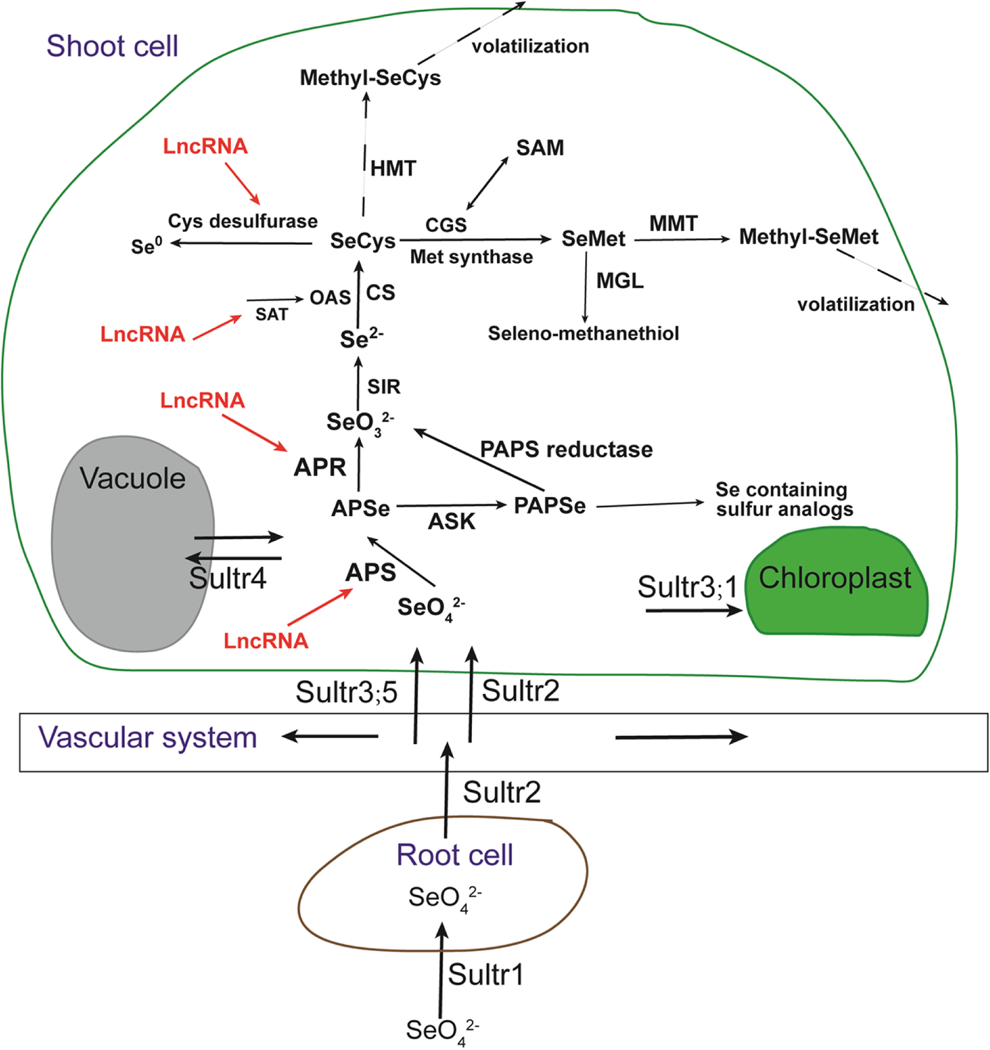 Fig. 9