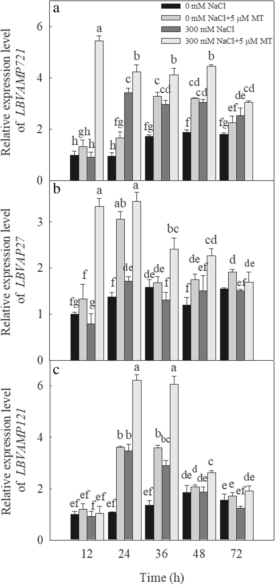 Fig. 7