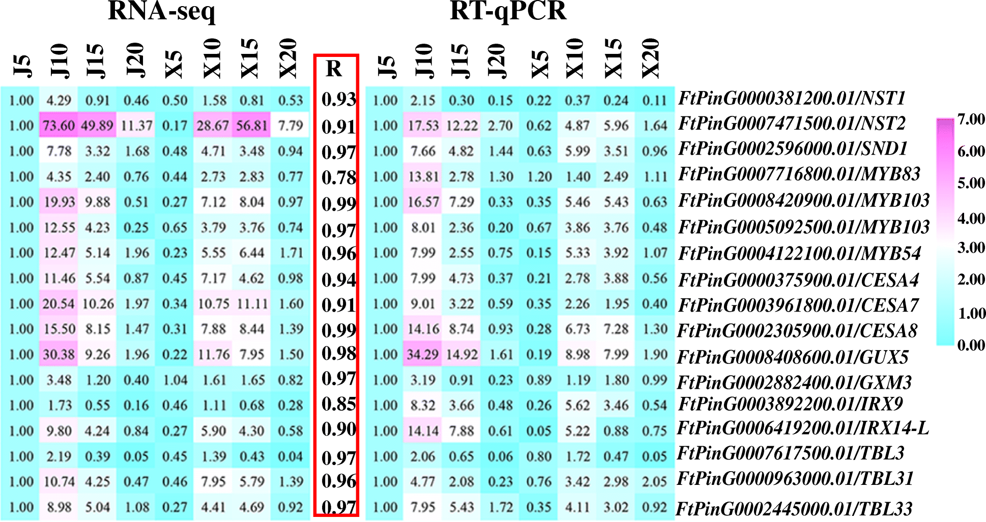 Fig. 10