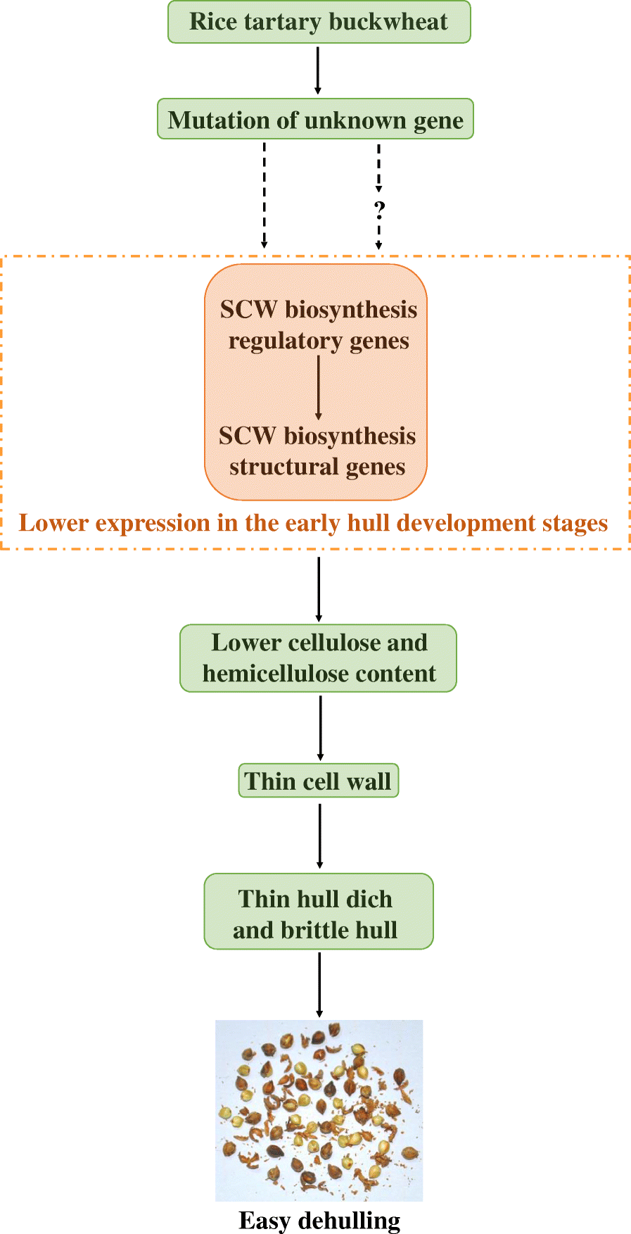 Fig. 12