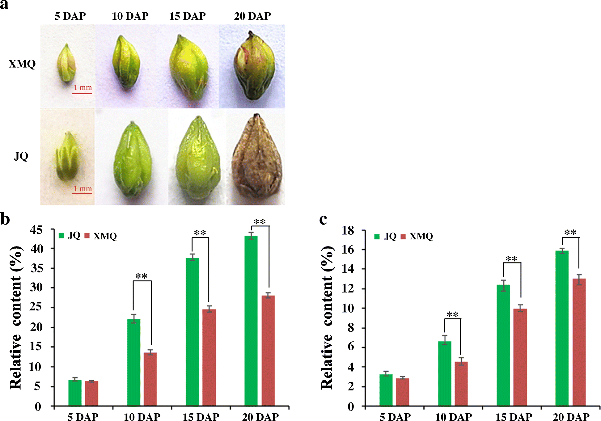 Fig. 3