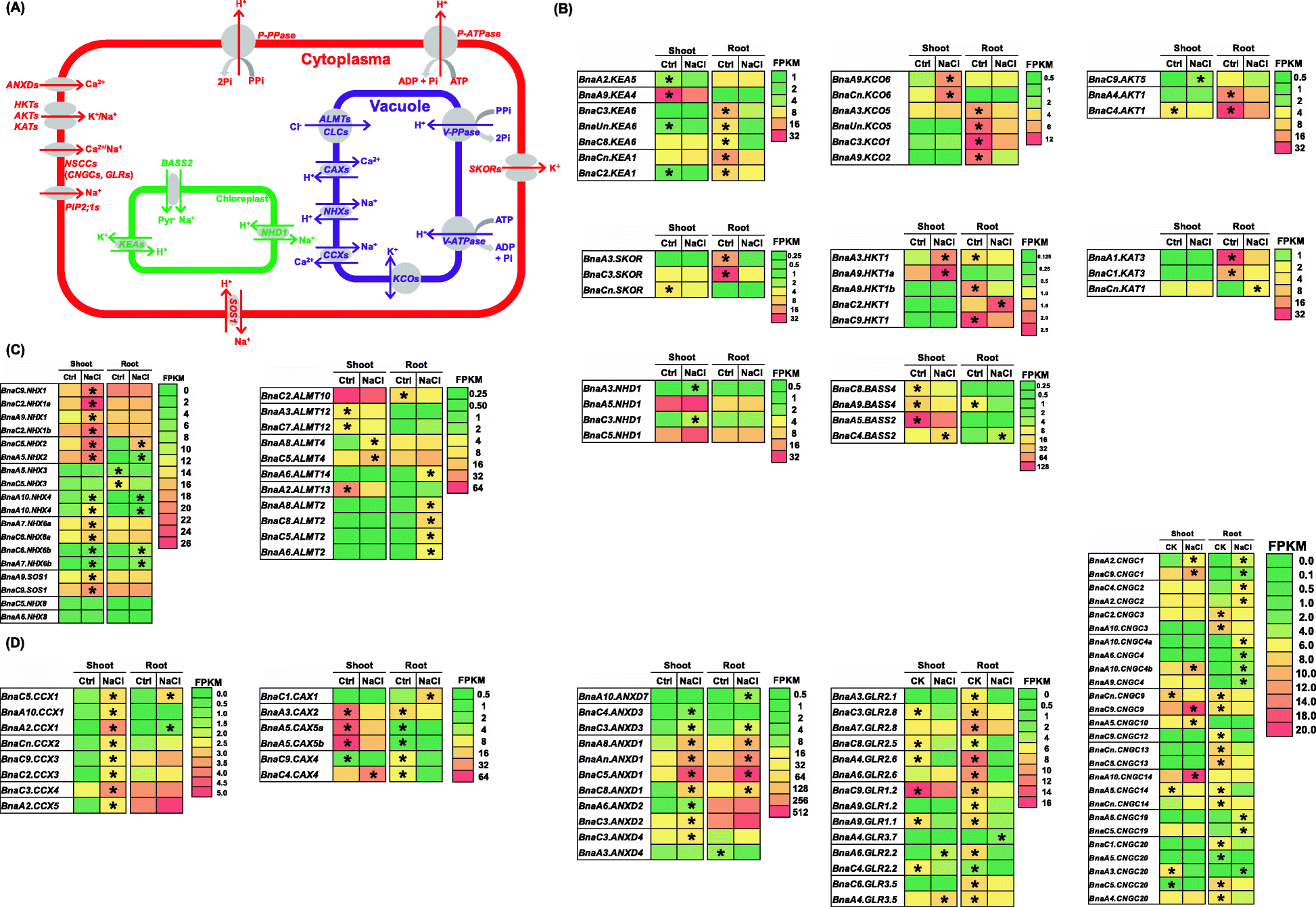 Fig. 10