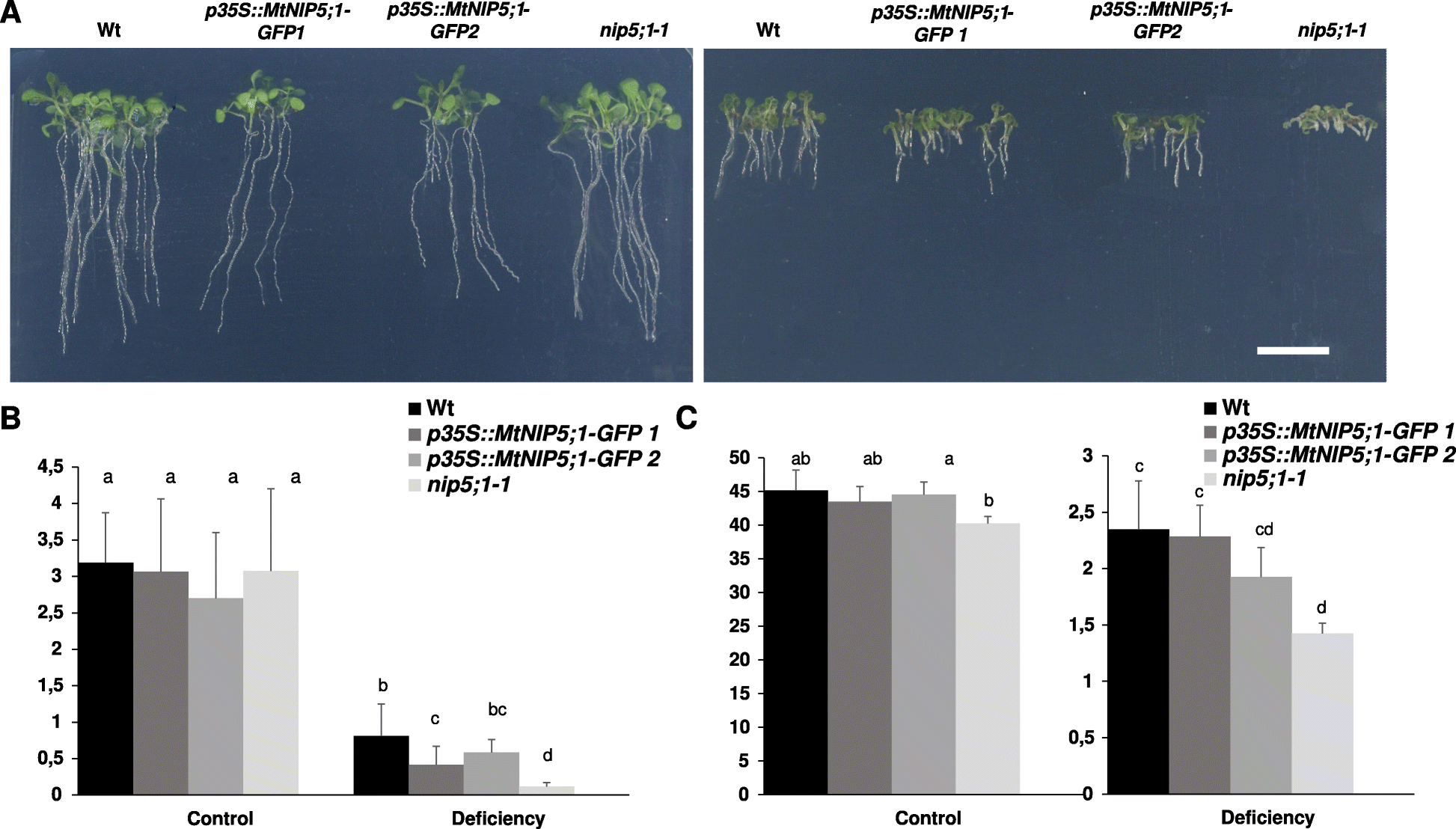 Fig. 6