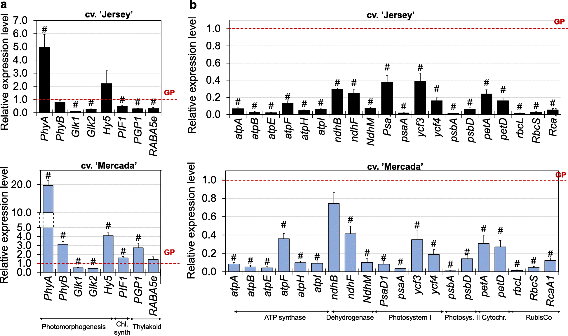 Fig. 10