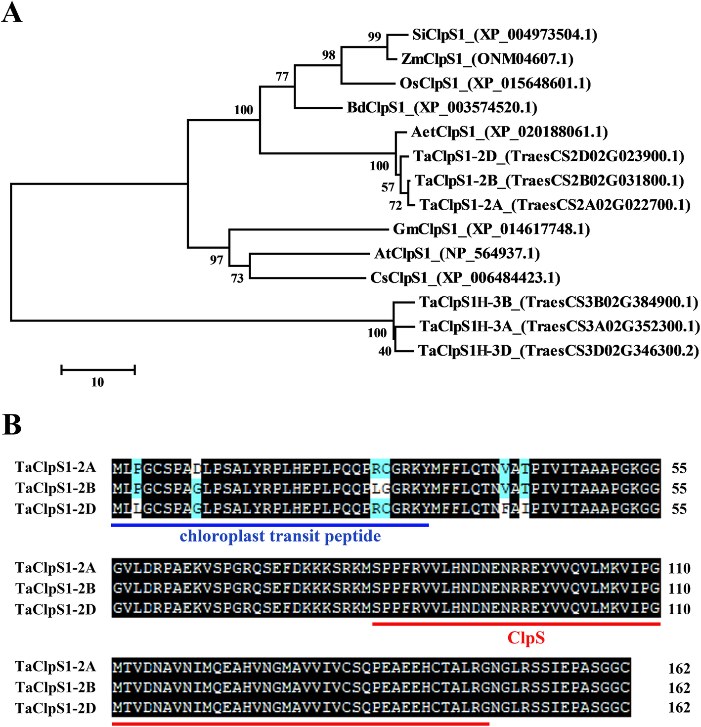 Fig. 1