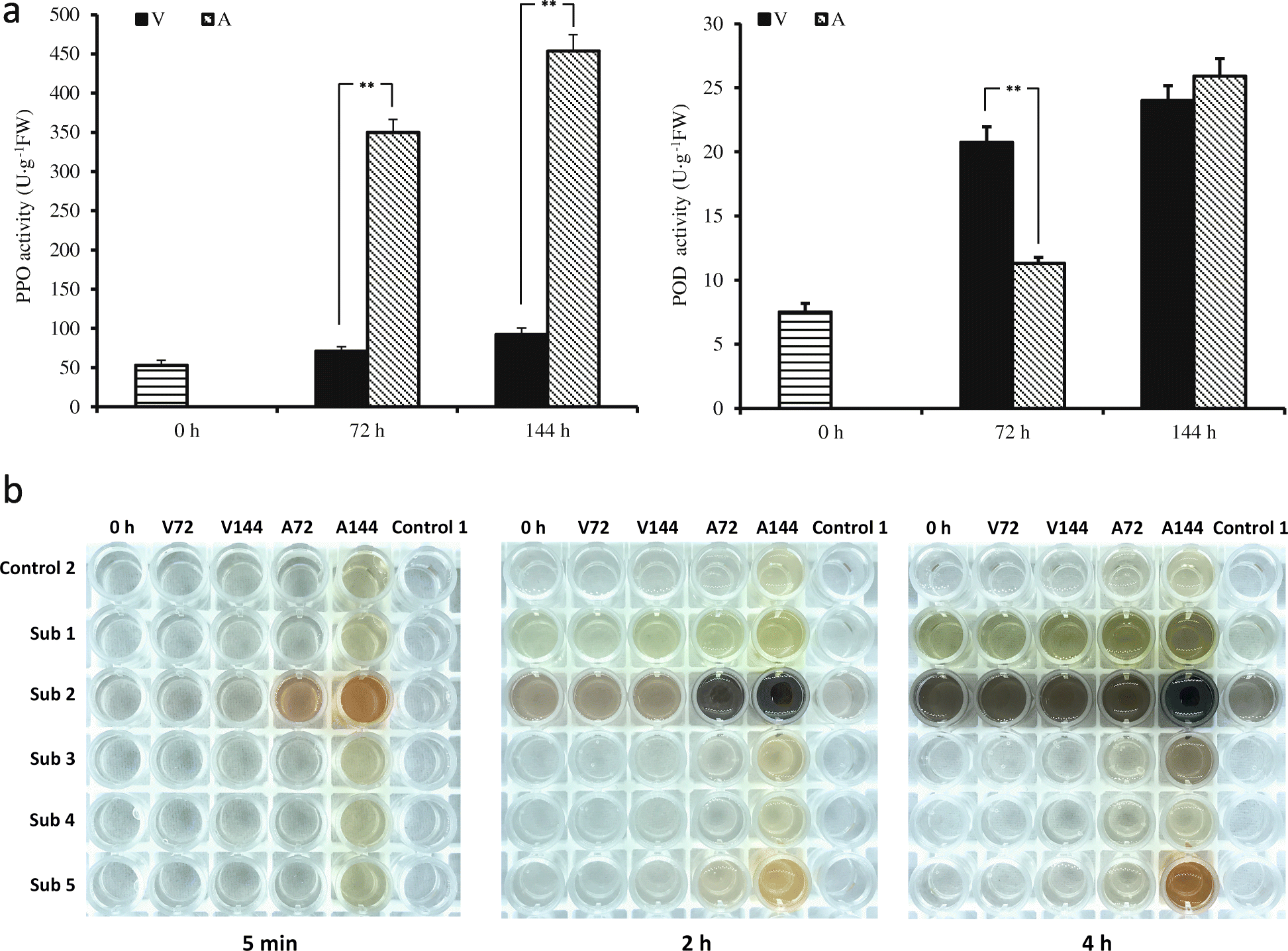 Fig. 4