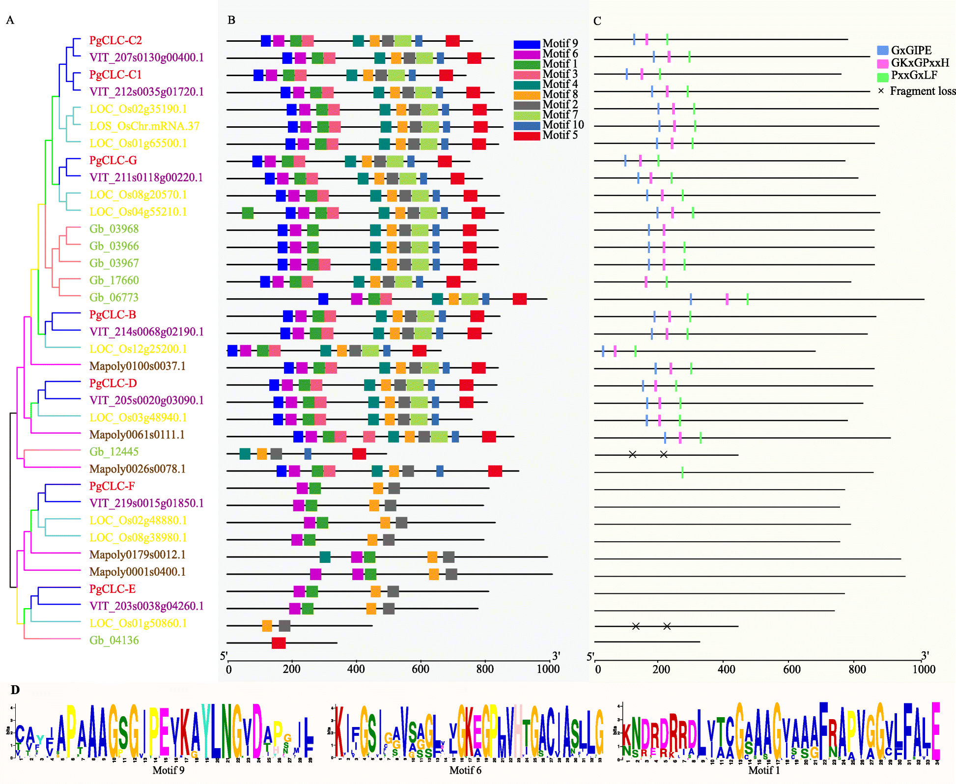 Fig. 2