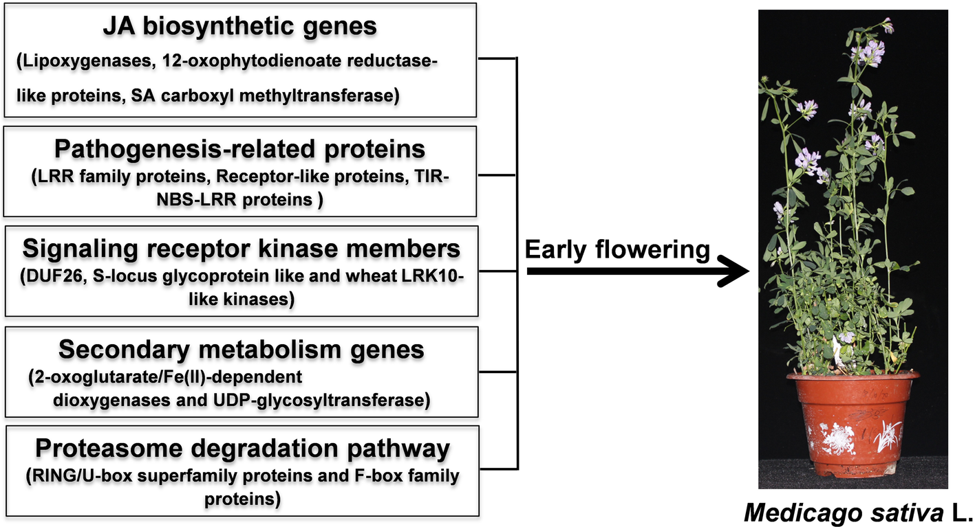 Fig. 11