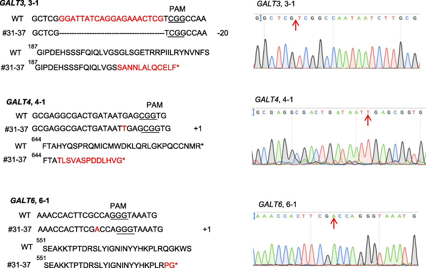 Fig. 12