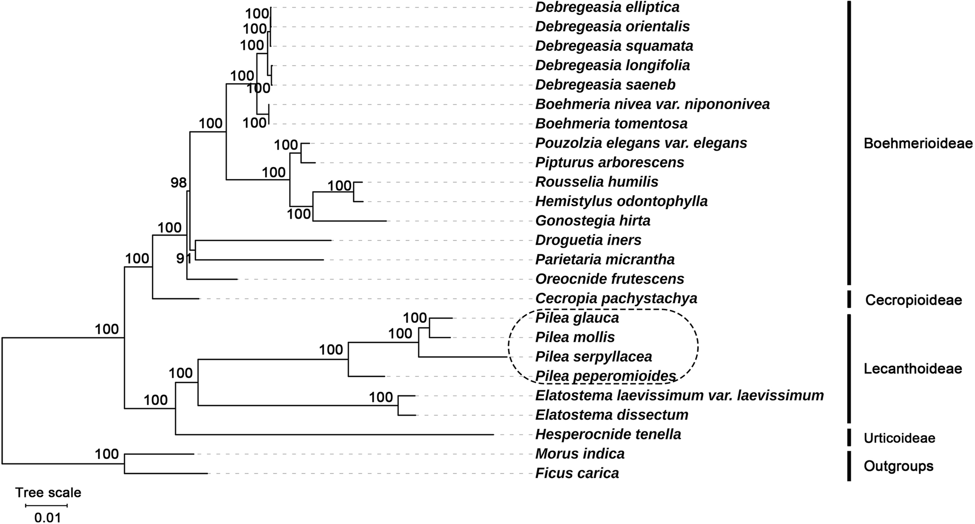 Fig. 7